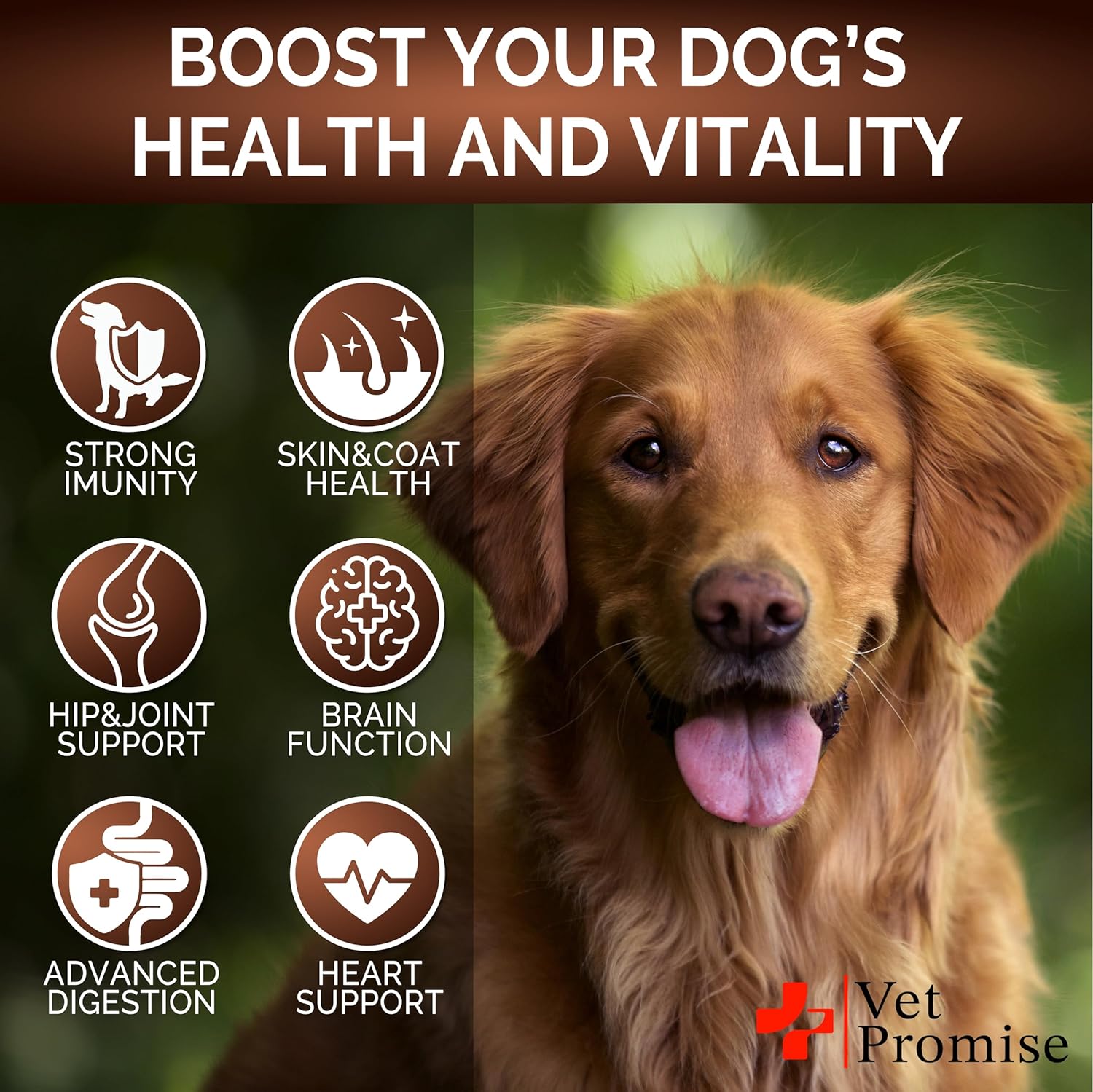 Turkey Tail & Lions Mane Mushroom Chews for Dogs - Immunity & Joint Support - 170 Count - Made in USA