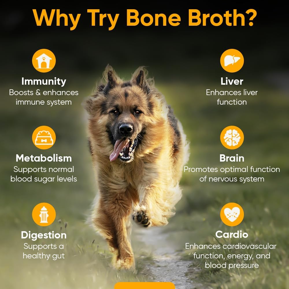 Turkey Tail Mushroom Bone Broth Powder Supplement for Dogs - Boost Immune System, Mobility, Flexibility, and Detox - iHeartDogs