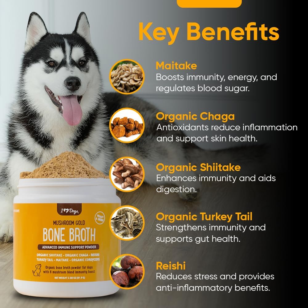 Turkey Tail Mushroom Bone Broth Powder Supplement for Dogs - Boost Immune System, Mobility, Flexibility, and Detox - iHeartDogs