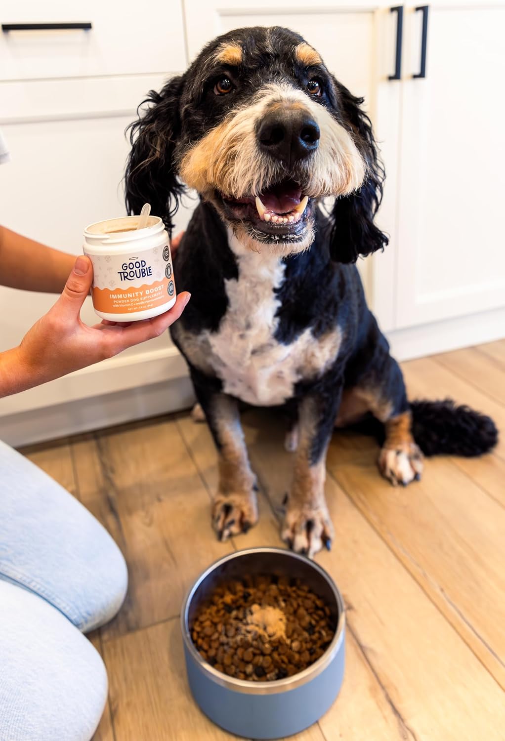 Turkey Tail Mushroom Immunity Boost Powder for Dogs - Allergy & Immune Support Supplement for Small/Large Breeds - Good Trouble Pets 1.9 oz Beef Flavor