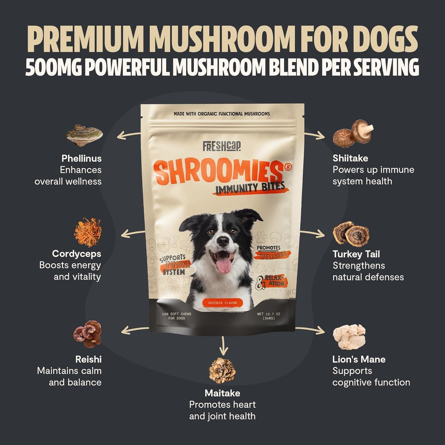 Turkey Tail Mushroom Supplement for Dogs - Immune Support, Lipoma Removal, Calming Treats (180 Soft Chews)
