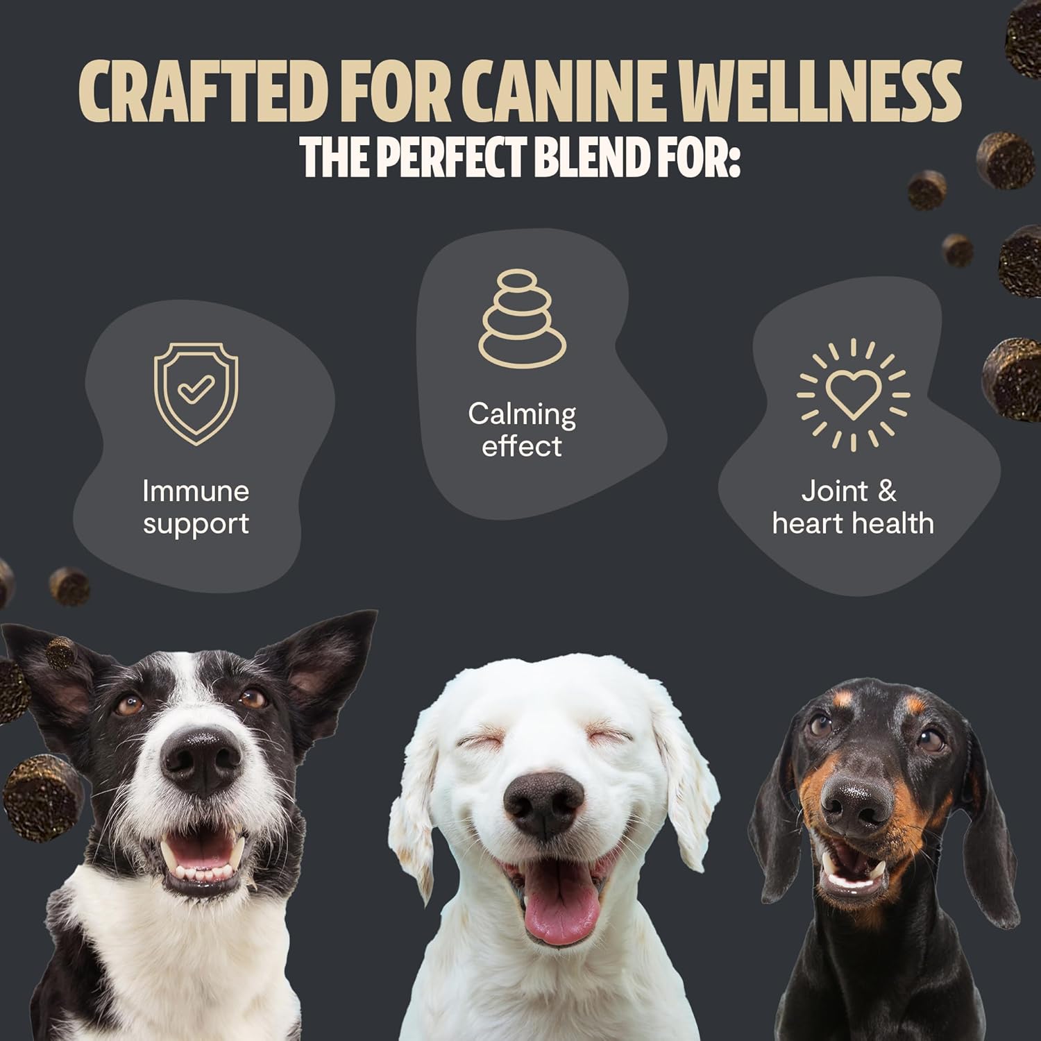 Turkey Tail Mushroom Supplement for Dogs - Immune Support, Lipoma Removal, Calming Treats (180 Soft Chews)