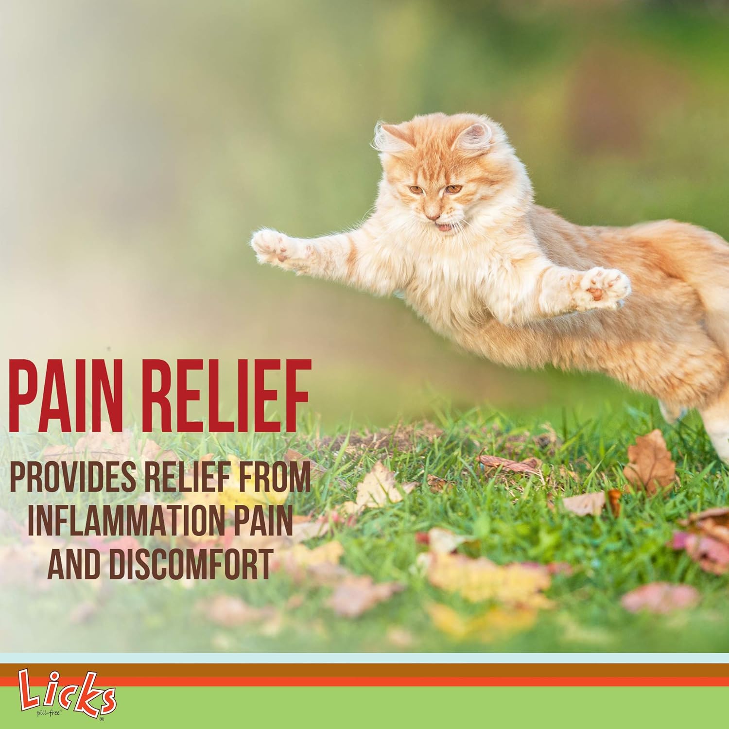 Turmeric and Ginger Cat Supplements for Pain Relief - Pill-Free Cat Ache Aid - Gel Packets - 10 Uses