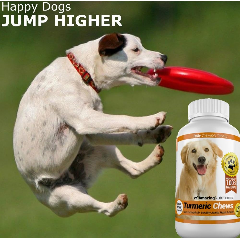 Turmeric Chews for Dogs - Natural Curcumin Pet Antioxidant, Relieves Joint Pain and Inflammation, 120 Treats