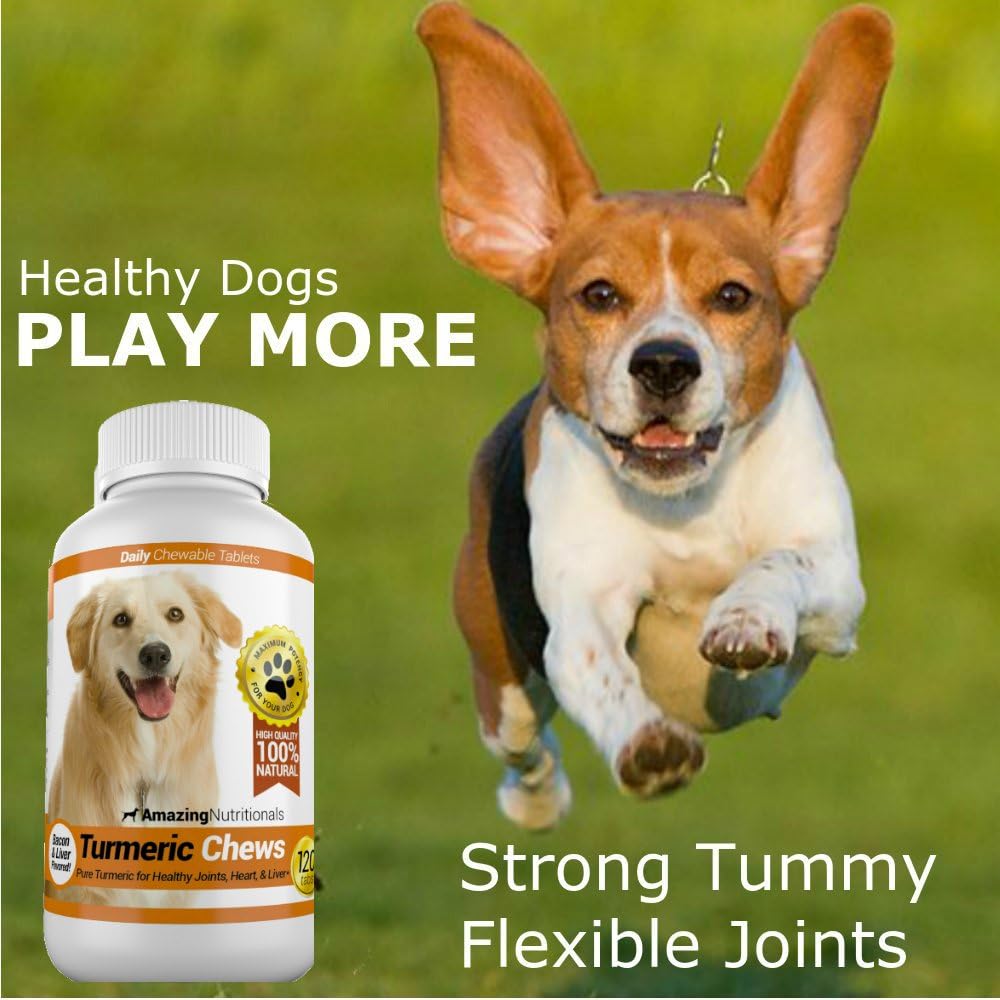 Turmeric Chews for Dogs - Natural Curcumin Pet Antioxidant, Relieves Joint Pain and Inflammation, 120 Treats