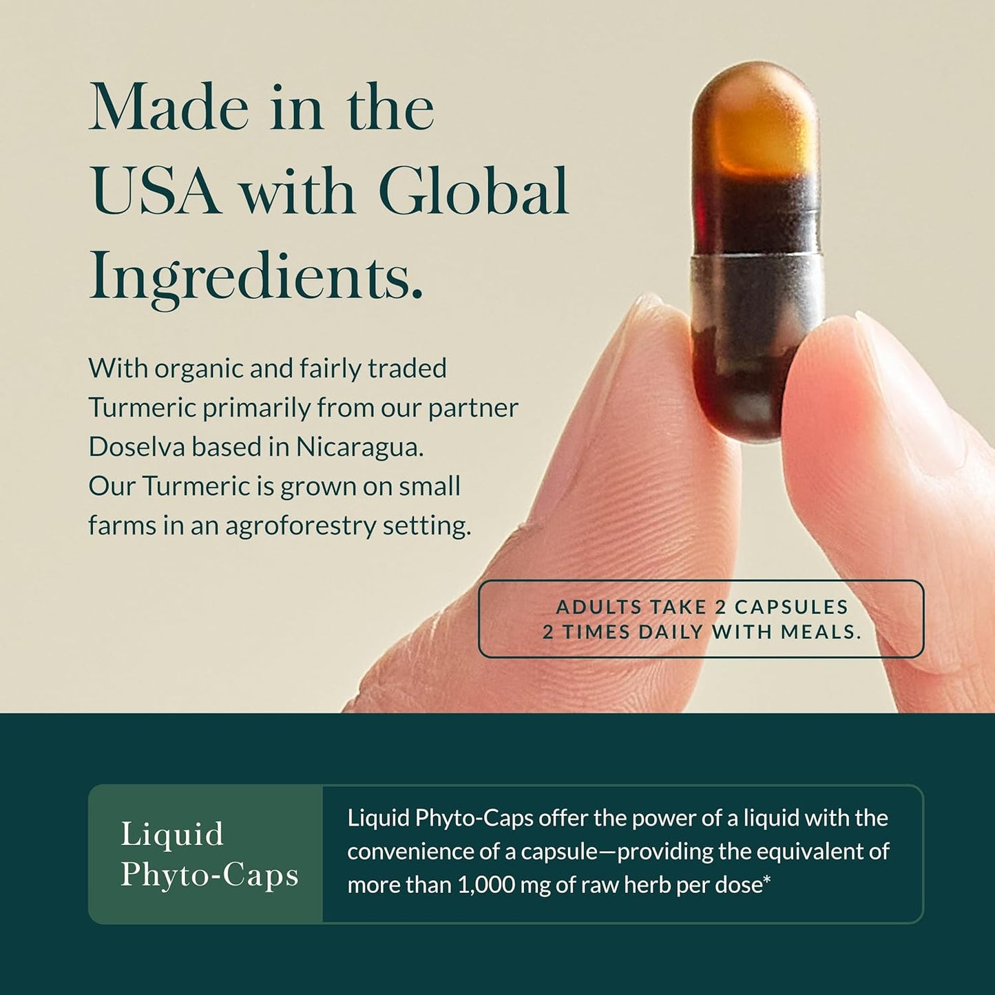 Turmeric Supreme Joint Health Supplement with Quercetin, Boswellia, Ginger Root, Black Pepper - 120 Liquid Capsules