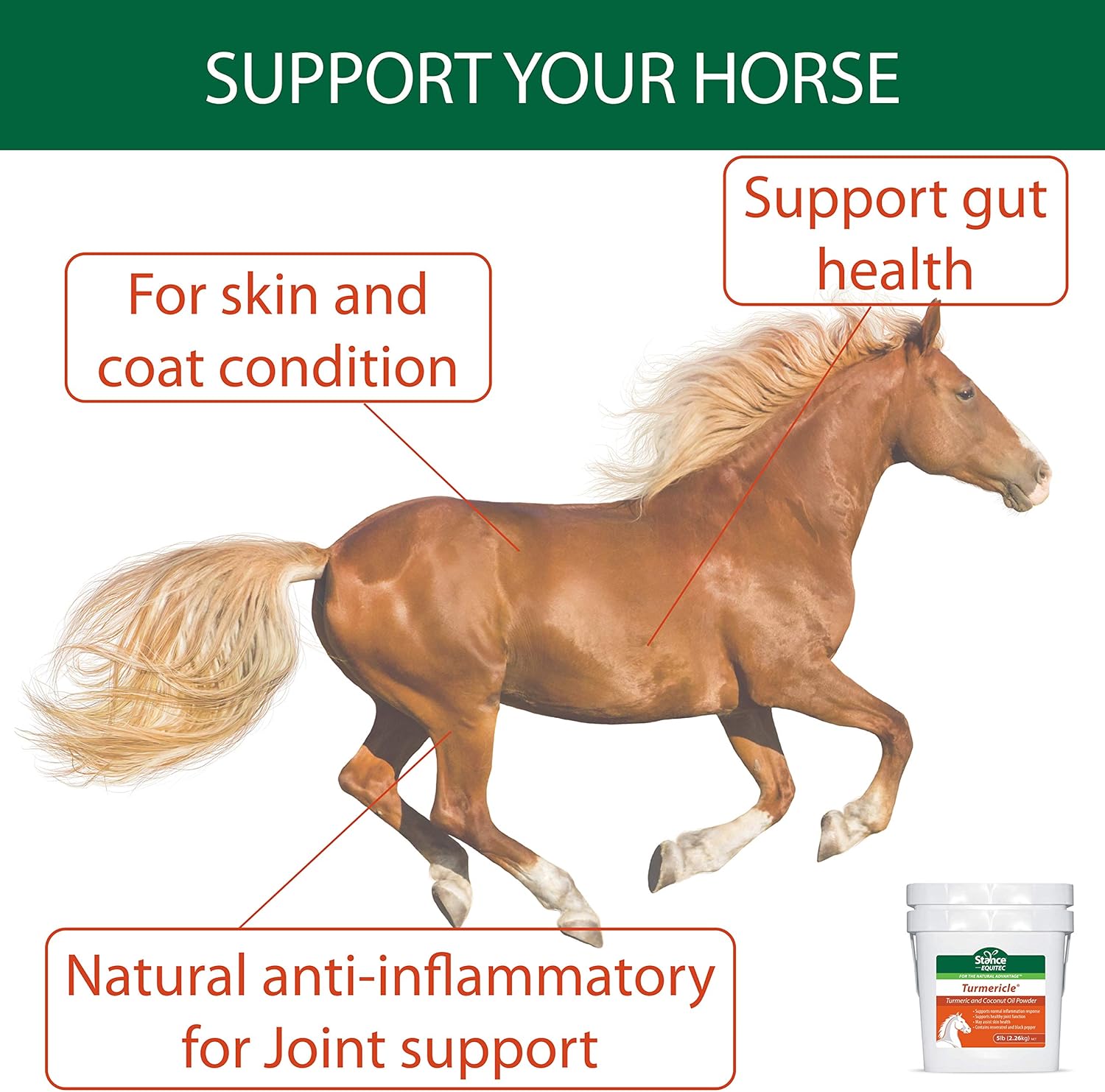 Turmericle Horse Supplement with Coconut Oil for Joint Health & Skin - Stance Natural Turmeric Powder for Healthy Horses