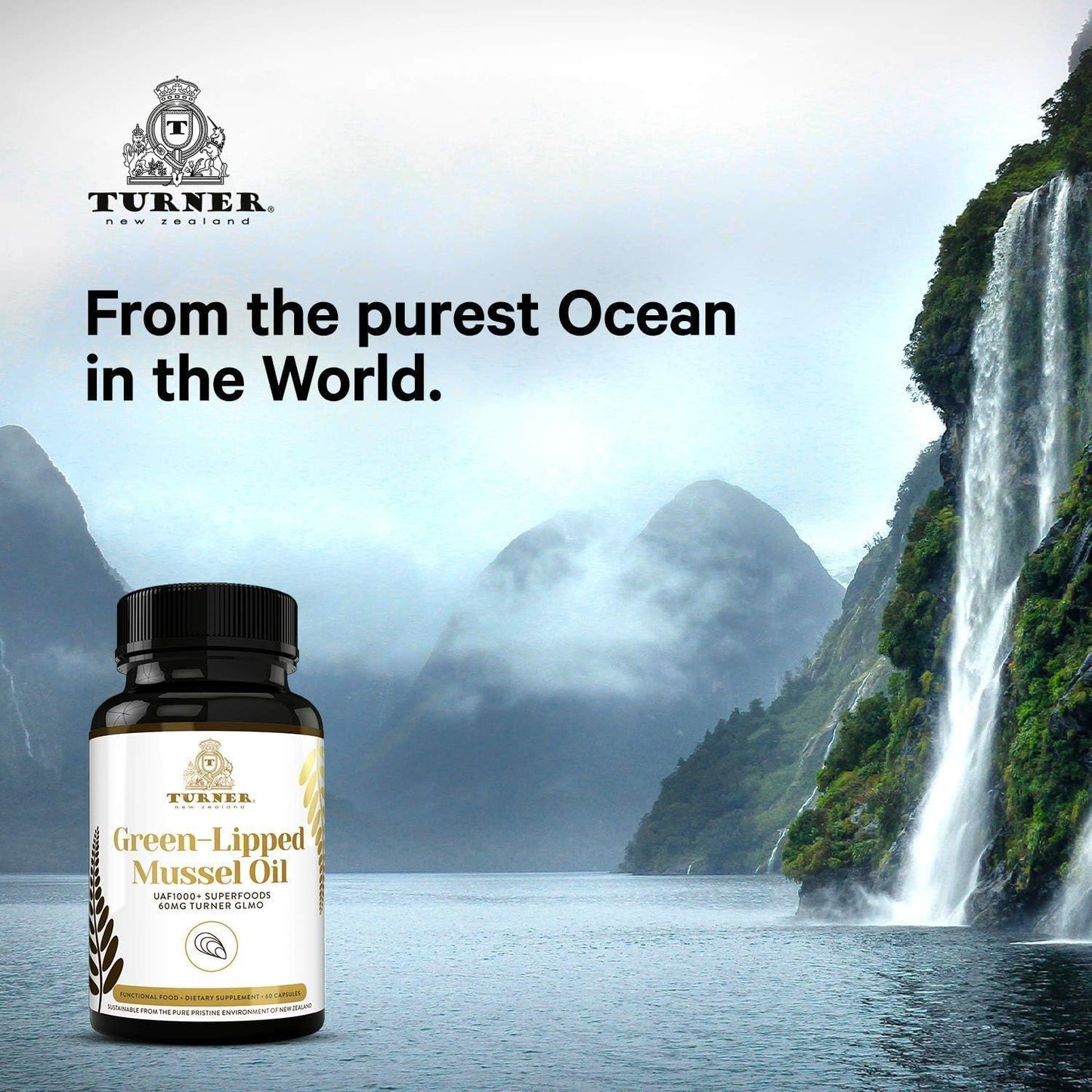 TURNER Green Lipped Mussel Oil with UAF1000+ Antioxidant, High Potency Omega-3 for Joint Comfort, 120 Softgels