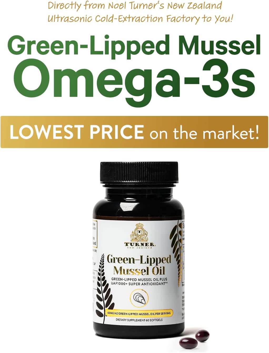 TURNER New Zealand Green Lipped Mussel Oil with UAF1000+ Antioxidant, High Potency Joint Support, 240 Softgels