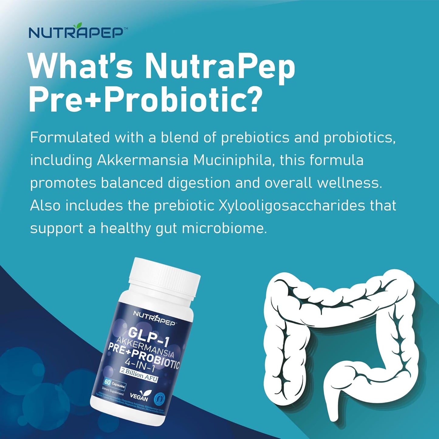 Ultimate GLP-1 Probiotic Capsules for Gut Health and Digestive Support - Prebiotic Akkermansia Muciniphila Supplement for Men and Women