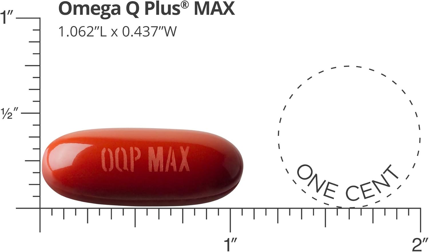 Ultimate Heart Health Bundle: Dr. Sinatra Omega Q Plus MAX with CoQ10, Magnesium, and Broad-Spectrum Complex - Advanced Cardiovascular Support