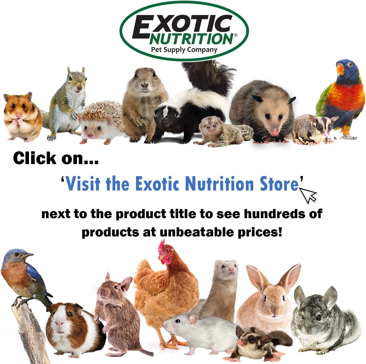 Ultra-fine Powdered Calcium Supplement for Pet Squirrels - 3.5 oz.