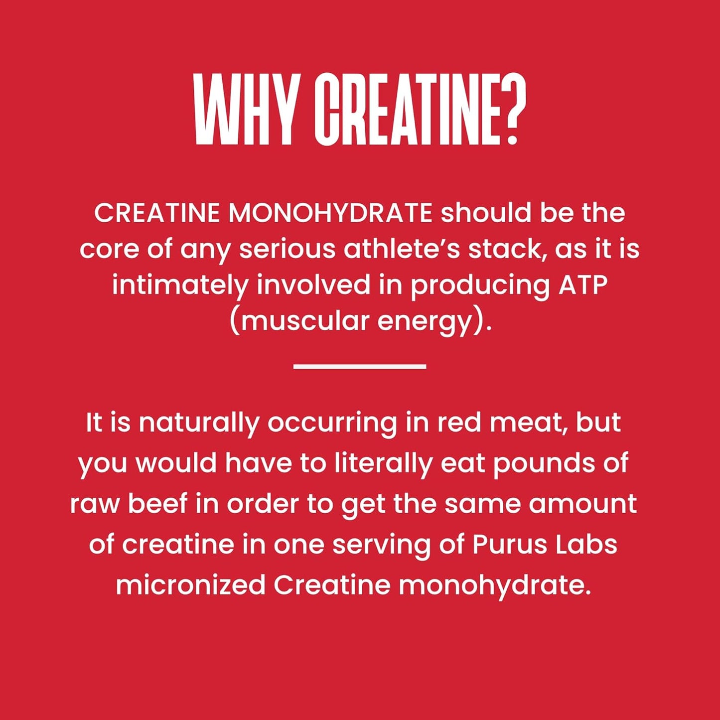 Ultra Pure Micronized Creatine Powder for Strength, Mass, Power, Recovery - 30 Servings, Unflavored - Purus Labs Foundation Series