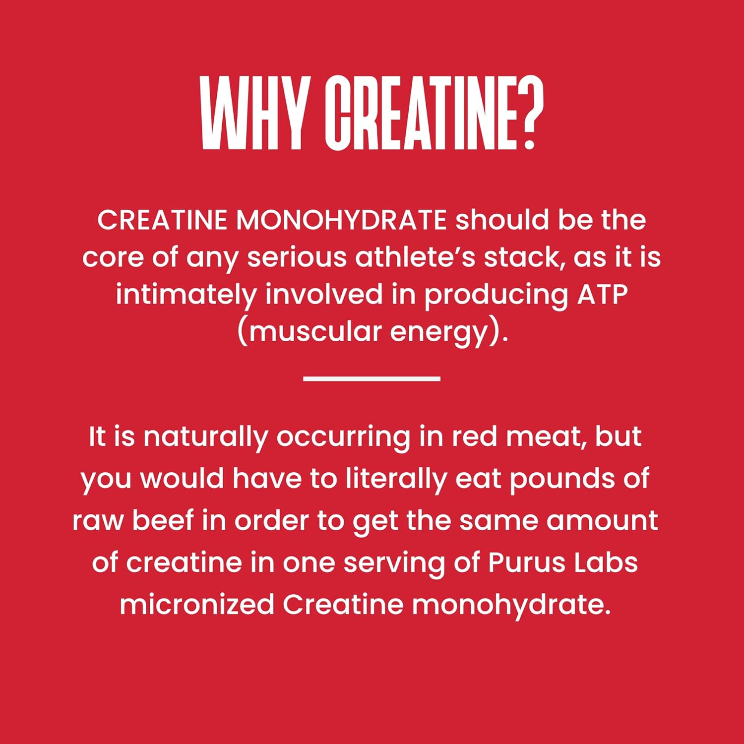Ultra Pure Micronized Creatine Powder for Strength, Mass, Power, Recovery - 30 Servings, Unflavored - Purus Labs Foundation Series