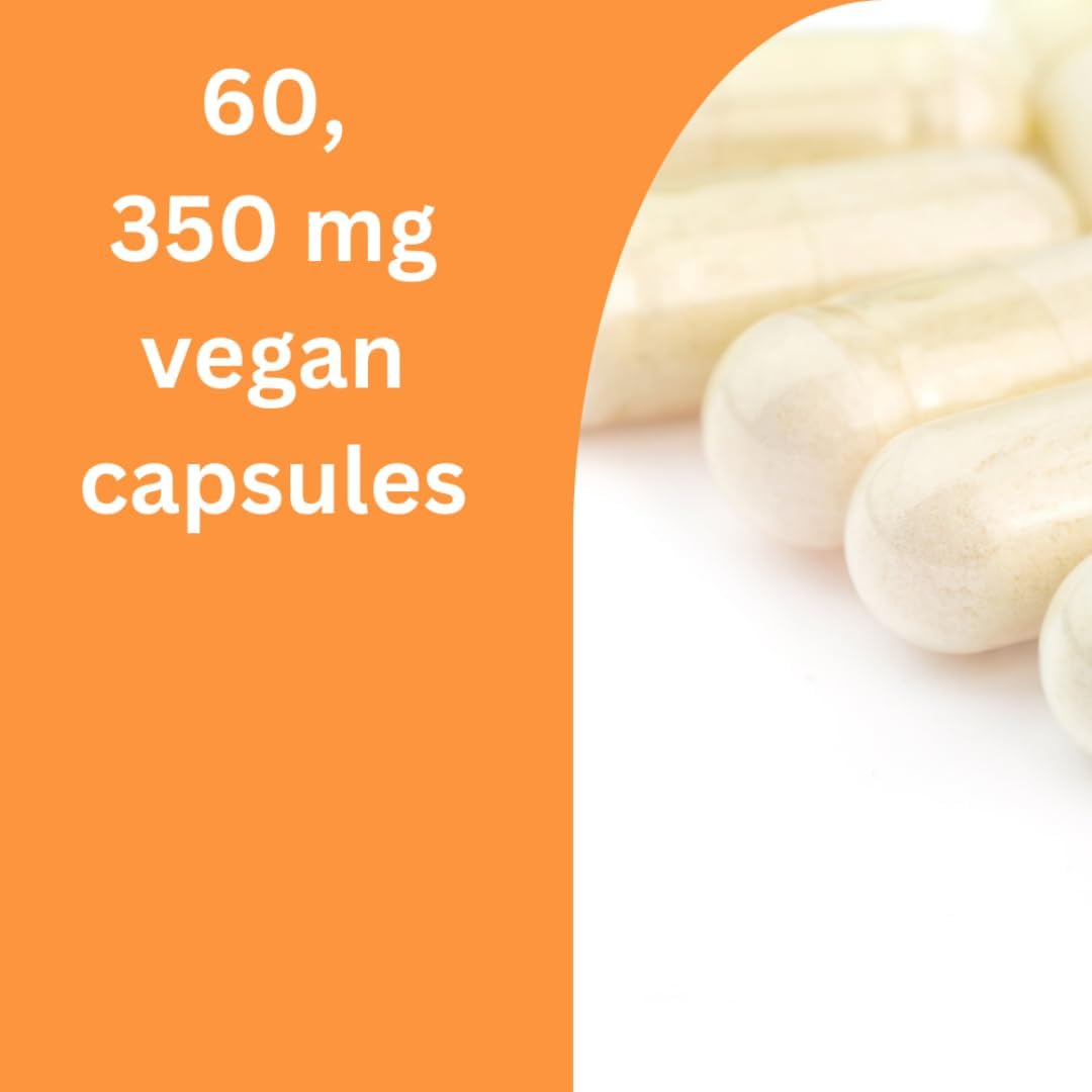 Ultra Pure NR (Nicotinamide Riboside) Capsules - 350mg | Anti-Aging NAD Booster | Boosts Cellular Energy, Repair, and Protection | Vegan, Gluten-Free, Non-GMO - 60 Capsules