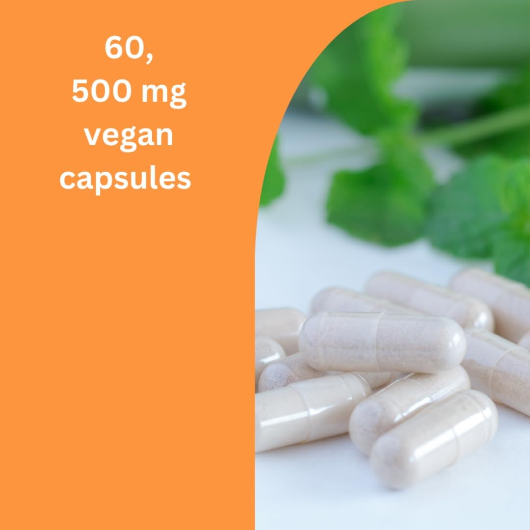 Ultra Pure TMG Dietary Supplement for Longevity - 60 Veg Capsules by Live-Longer.net