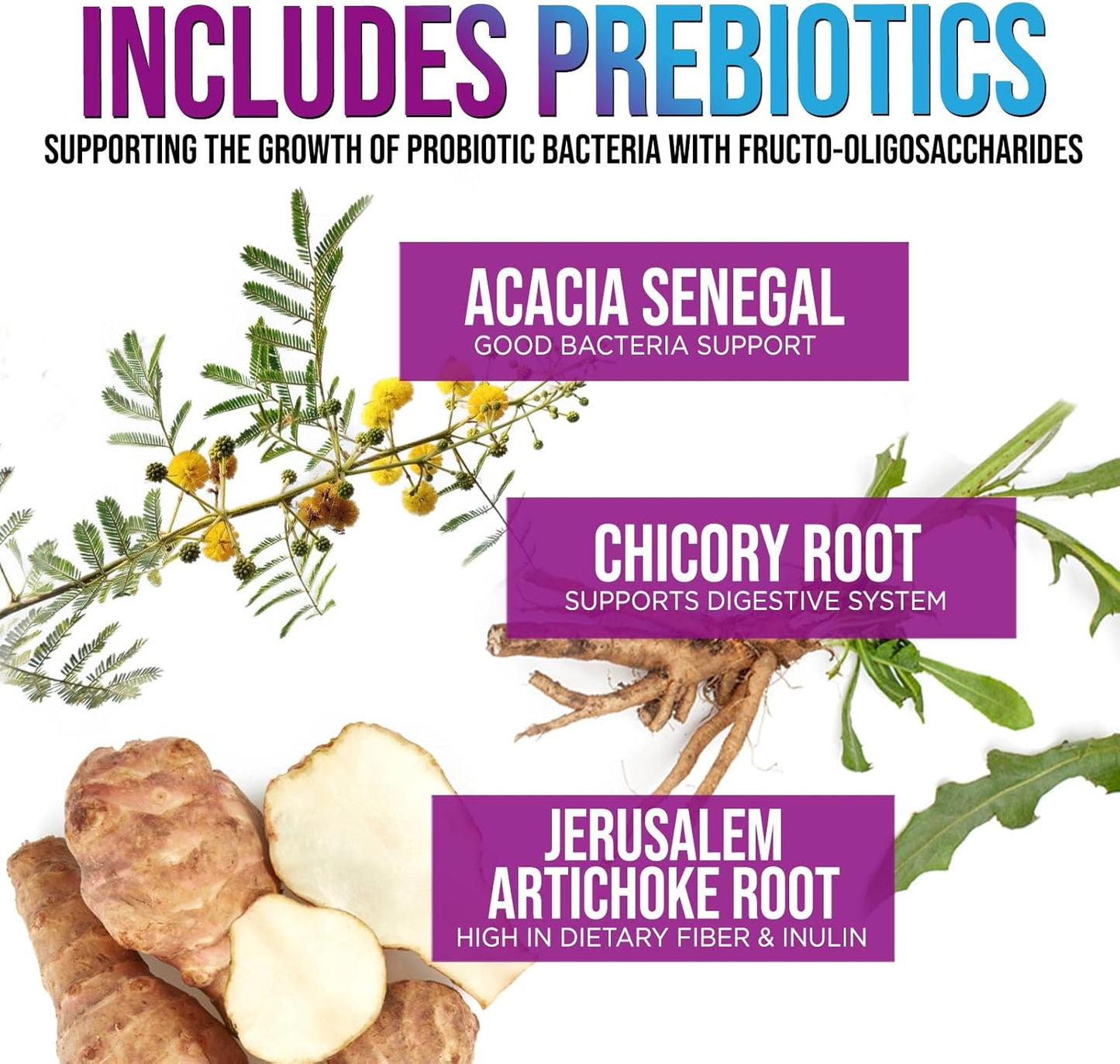 Ultra Strength Probiotic Supplement with 60 Billion CFU, 10 Strains - Digestive & Immune Health Support - 120 Capsules