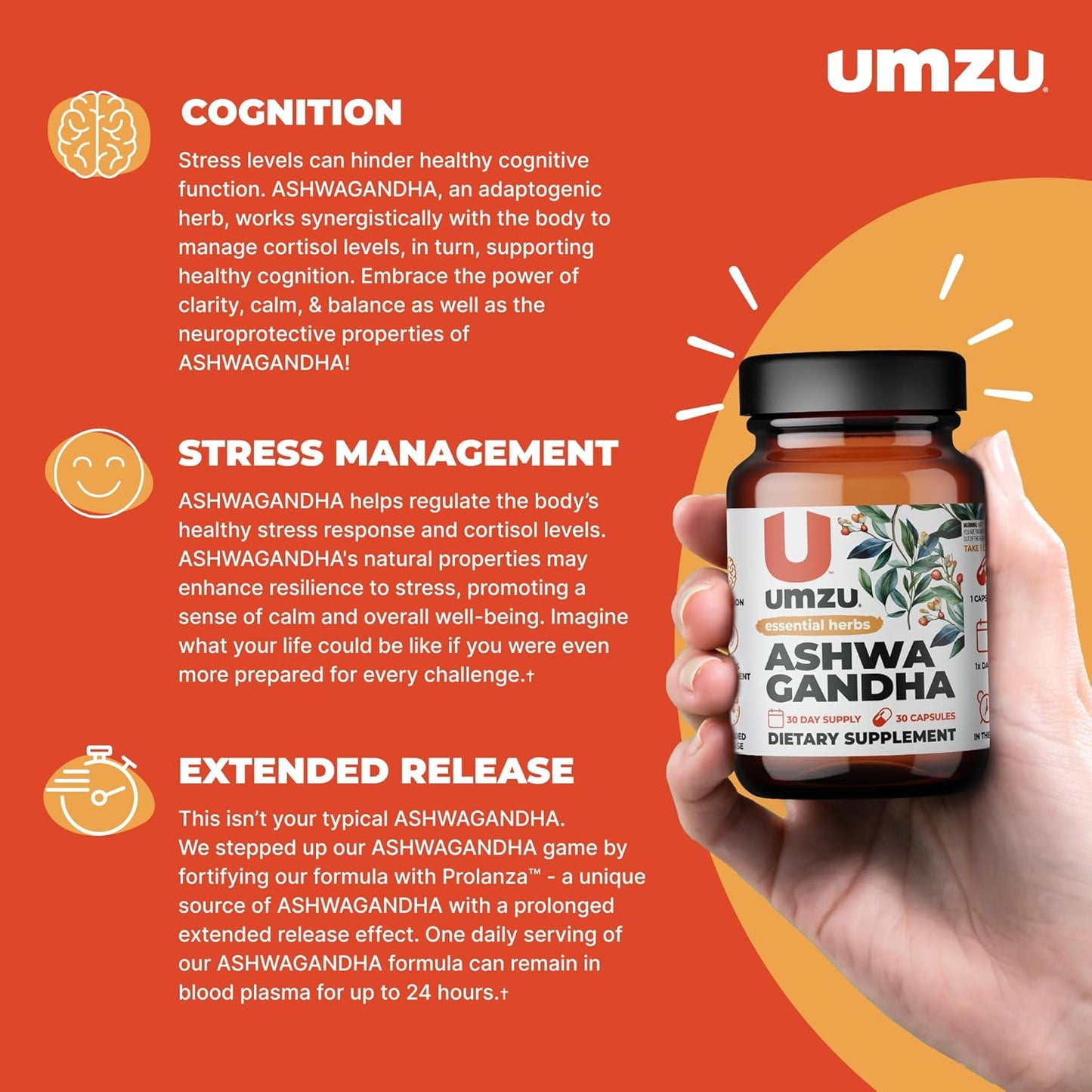 UMZU Ashwagandha Supplement for Stress & Memory Support - 30 Capsules, 24-Hour Extended Release Formula for Focus & Cognition