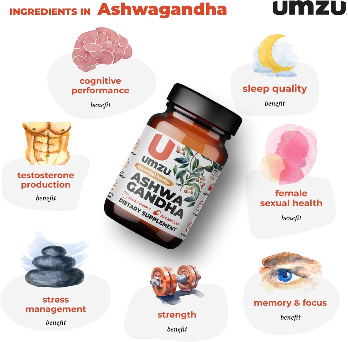 UMZU Ashwagandha Supplement for Stress & Memory Support - 30 Capsules, 24-Hour Extended Release Formula for Focus & Cognition