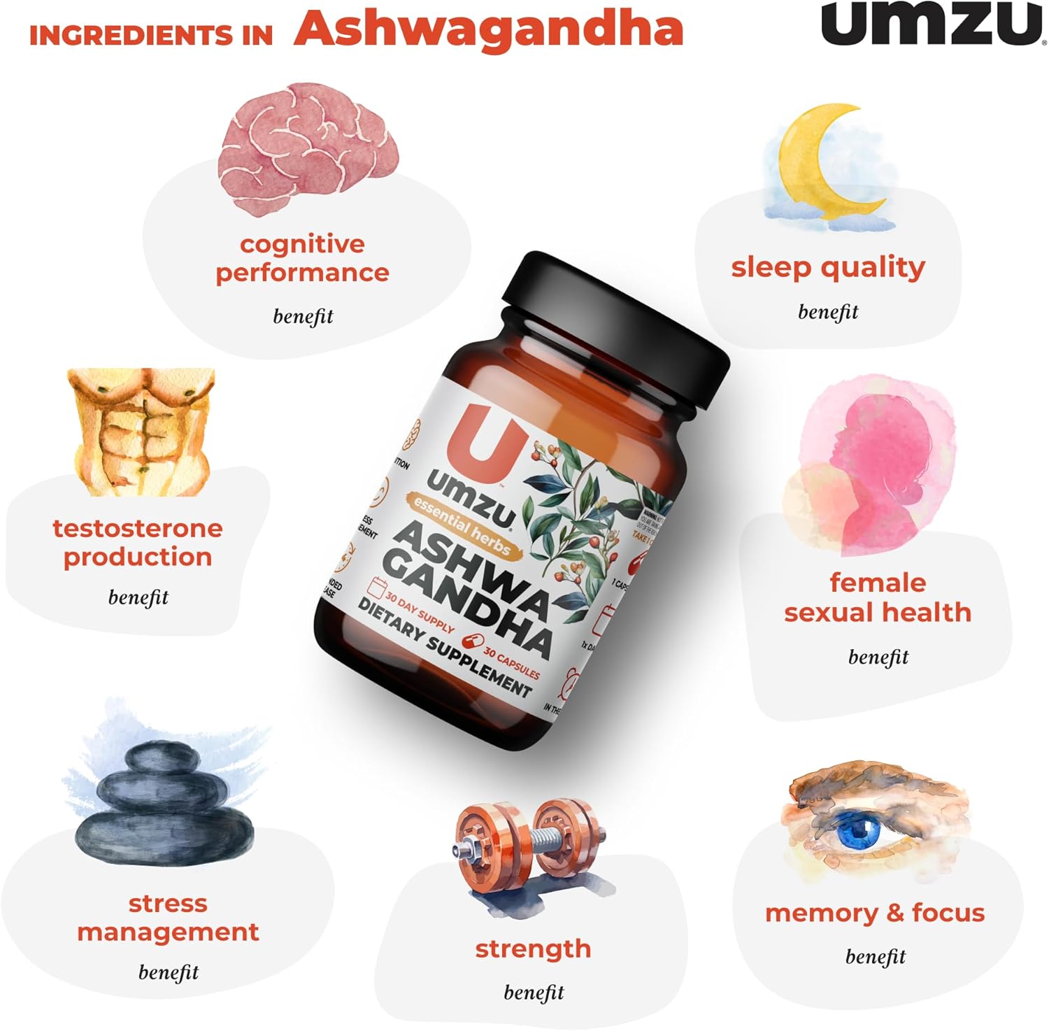 UMZU Ashwagandha Supplement for Stress & Memory Support - 30 Capsules, 24-Hour Extended Release Formula for Focus & Cognition