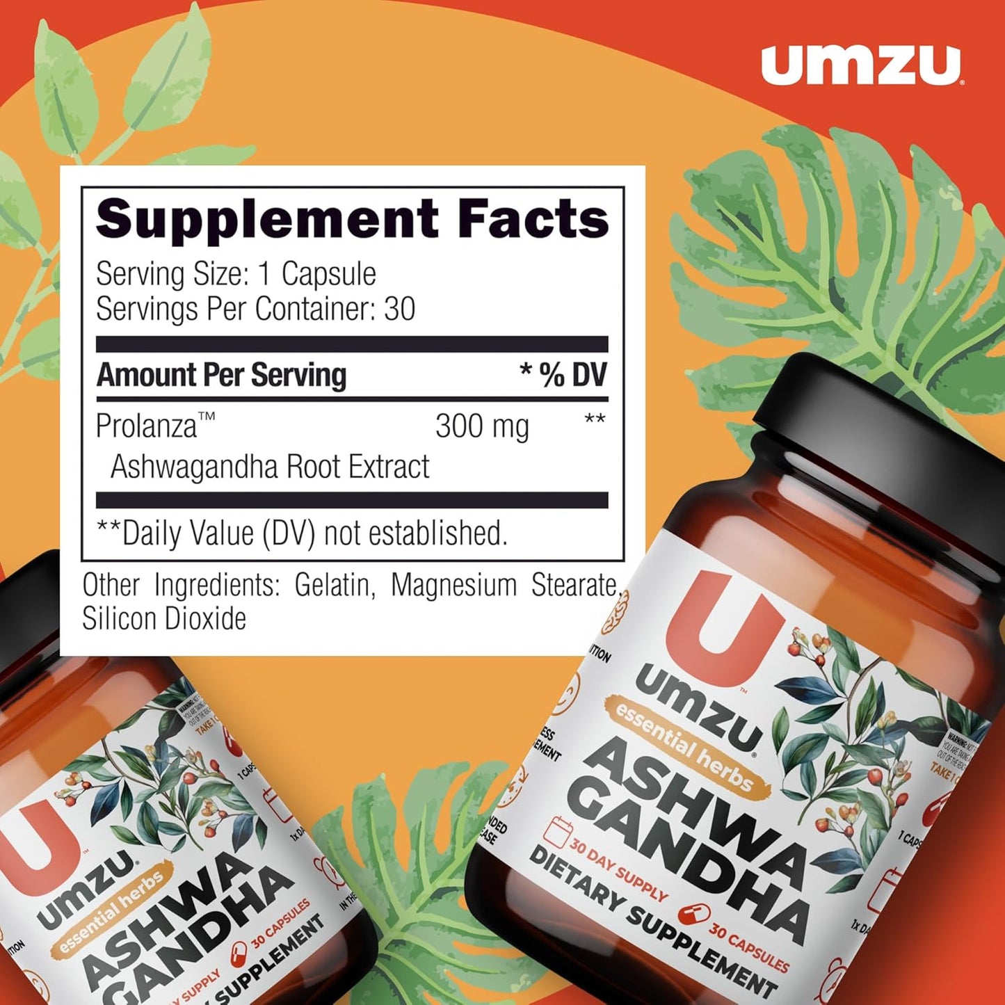 UMZU Ashwagandha Supplement for Stress & Memory Support - 30 Capsules, 24-Hour Extended Release Formula for Focus & Cognition