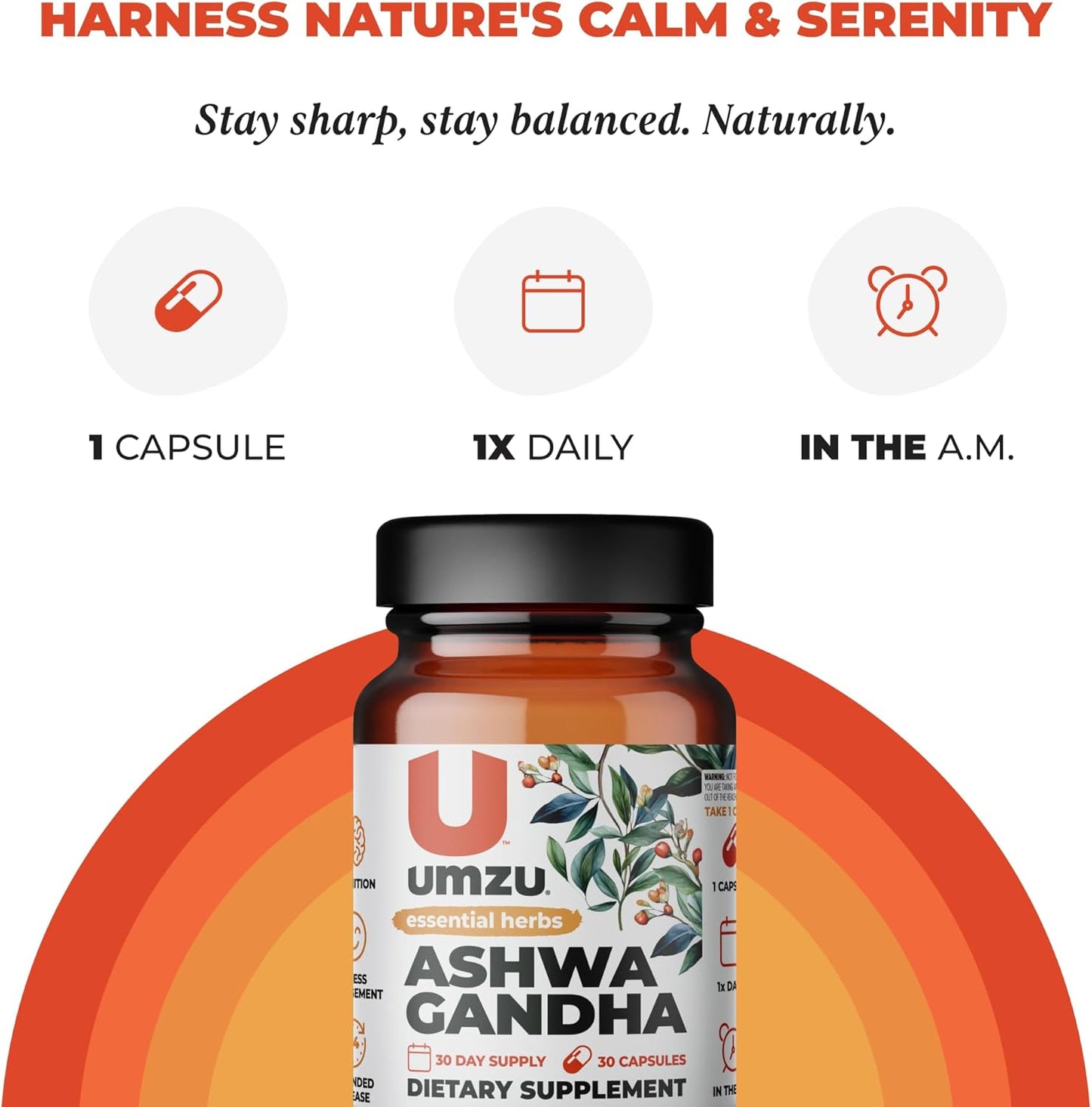 UMZU Ashwagandha Supplement for Stress & Memory Support - 30 Capsules, 24-Hour Extended Release Formula for Focus & Cognition