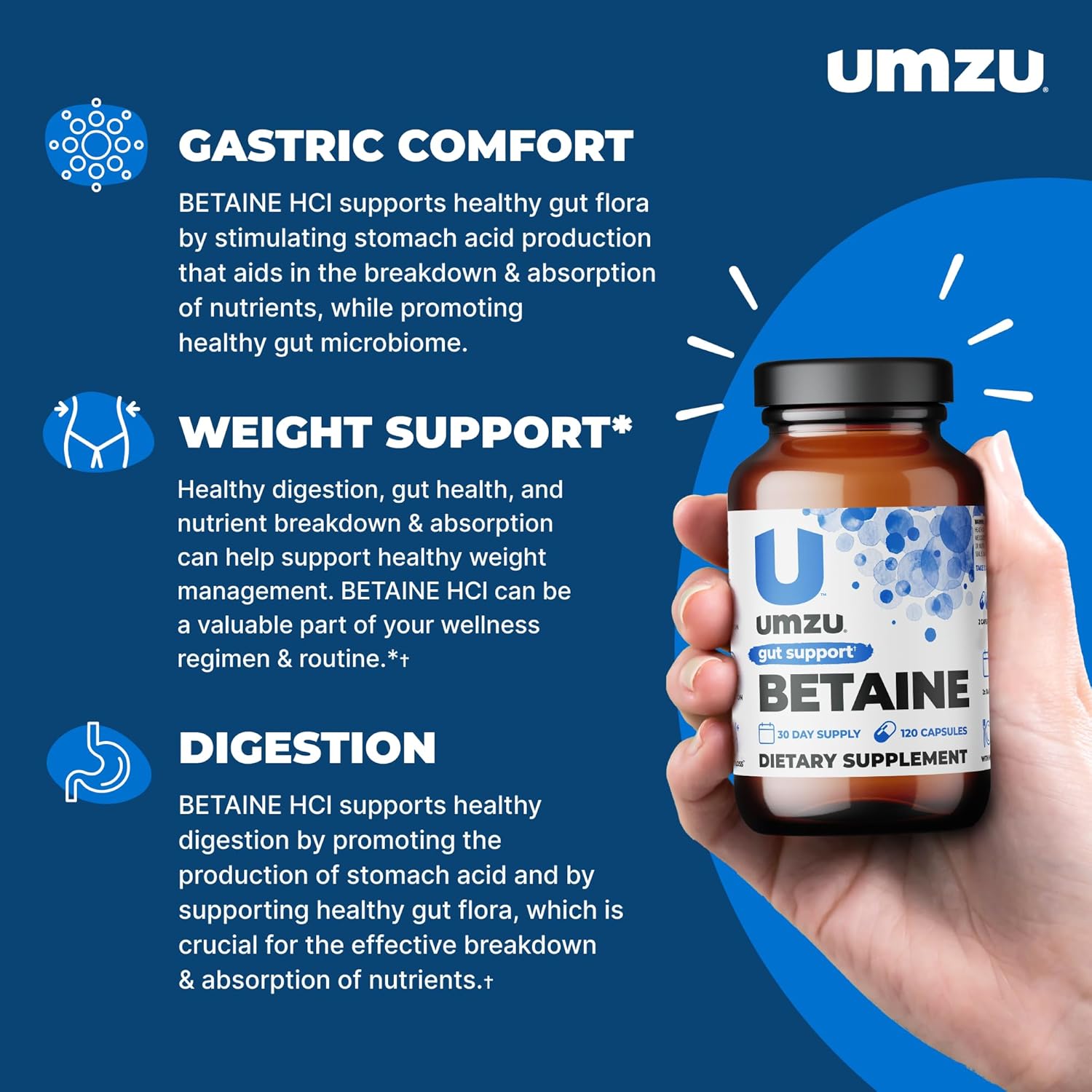 UMZU Betaine HCl Supplement | Promotes Digestive Health, Nutrient Absorption & Cardiovascular Support | Natural Gut Health Aid (120 Capsules)
