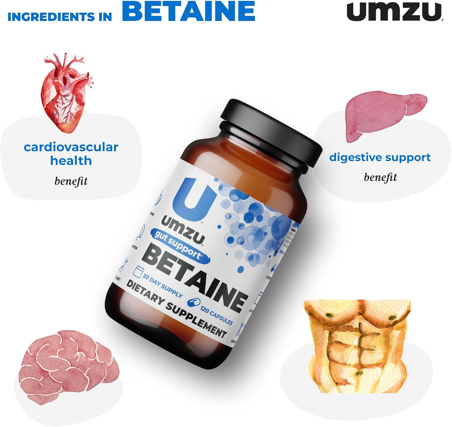 UMZU Betaine HCl Supplement | Promotes Digestive Health, Nutrient Absorption & Cardiovascular Support | Natural Gut Health Aid (120 Capsules)