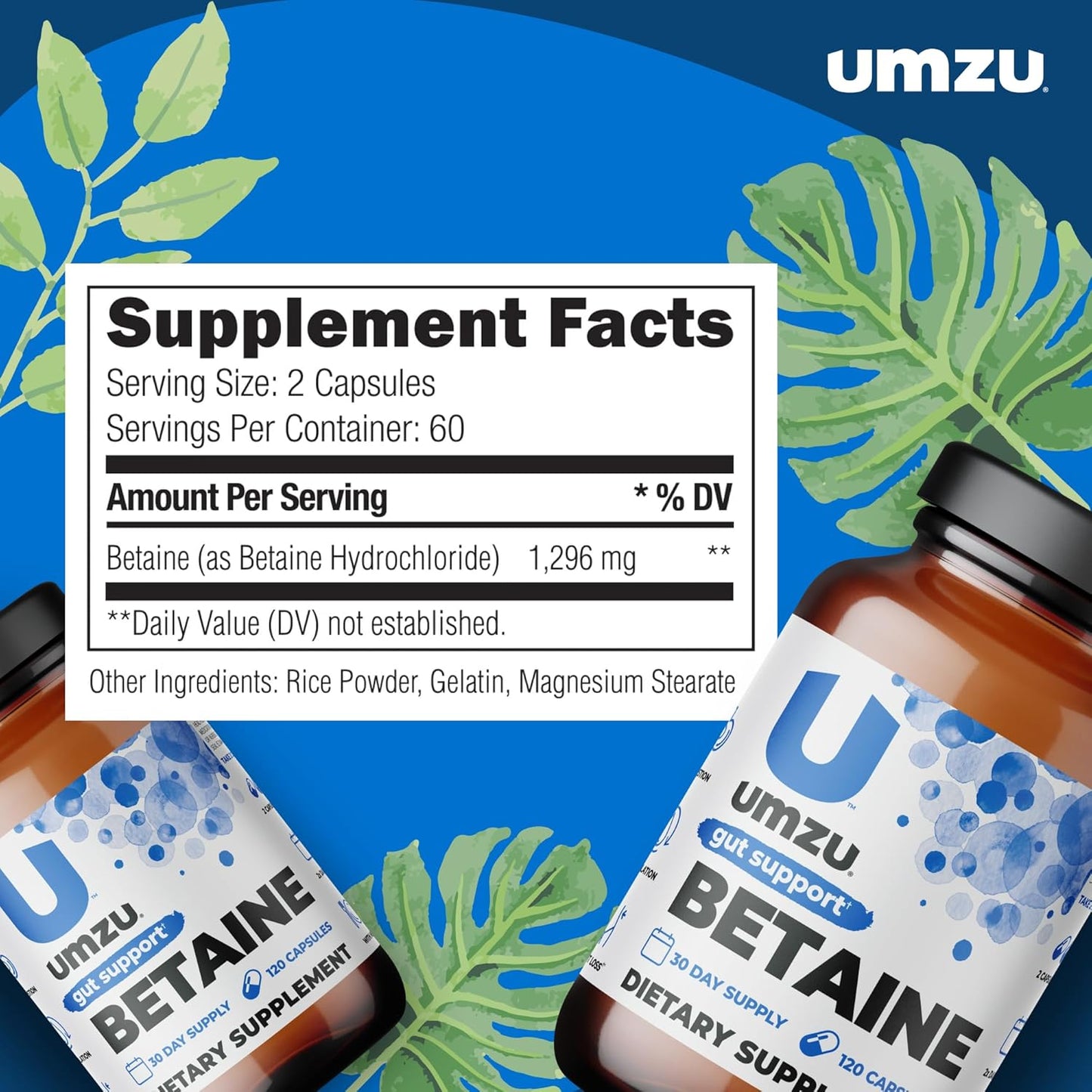 UMZU Betaine HCl Supplement | Promotes Digestive Health, Nutrient Absorption & Cardiovascular Support | Natural Gut Health Aid (120 Capsules)