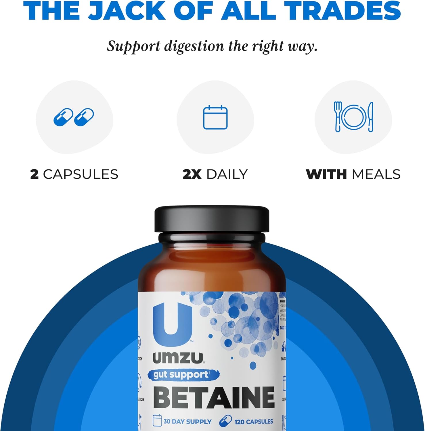 UMZU Betaine HCl Supplement | Promotes Digestive Health, Nutrient Absorption & Cardiovascular Support | Natural Gut Health Aid (120 Capsules)