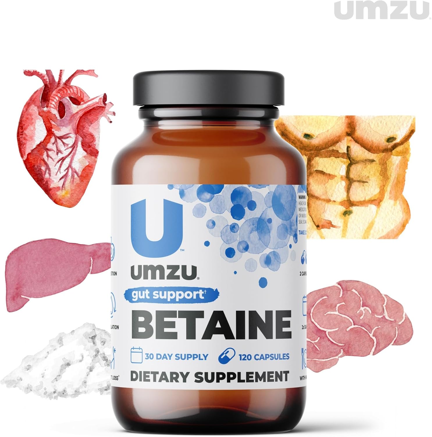 UMZU Betaine HCl Supplement | Promotes Digestive Health, Nutrient Absorption & Cardiovascular Support | Natural Gut Health Aid (120 Capsules)