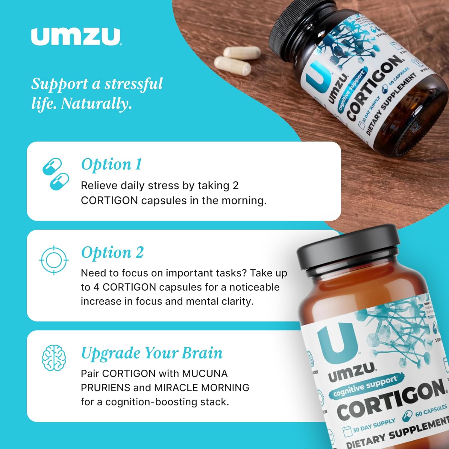 UMZU CORTIGON | Natural Stress Support Complex with Ginkgo Biloba & B Vitamins | Memory, Focus & Mood Aid | 30 Day Supply