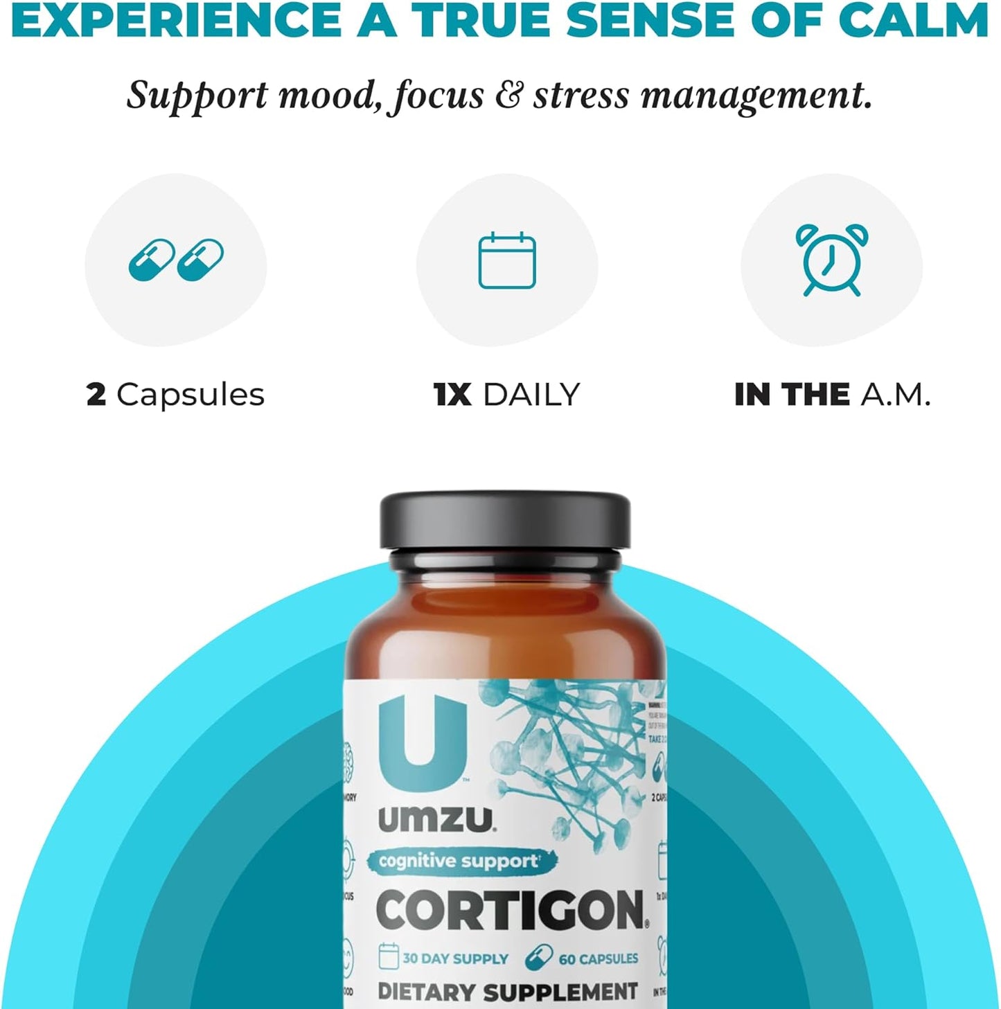 UMZU CORTIGON | Natural Stress Support Complex with Ginkgo Biloba & B Vitamins | Memory, Focus & Mood Aid | 30 Day Supply