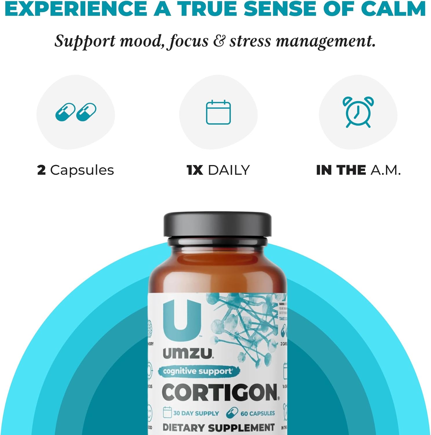 UMZU CORTIGON | Natural Stress Support Complex with Ginkgo Biloba & B Vitamins | Memory, Focus & Mood Aid | 30 Day Supply