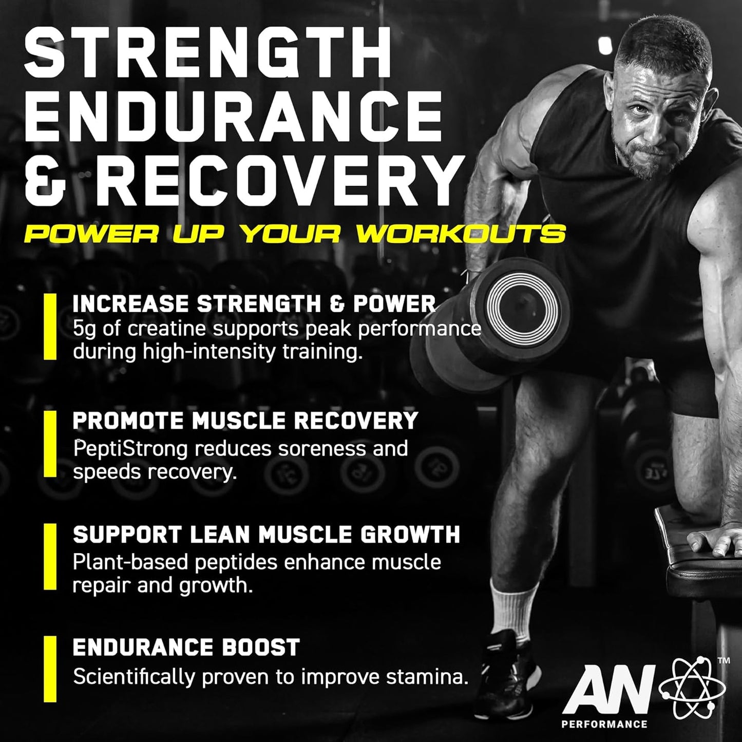 Unflavored AN Performance Creatine + Peptide - 5g Creatine Monohydrate, 2.4g PeptiStrong - Gluten-Free, Low Carb, Keto Friendly - 60 Servings