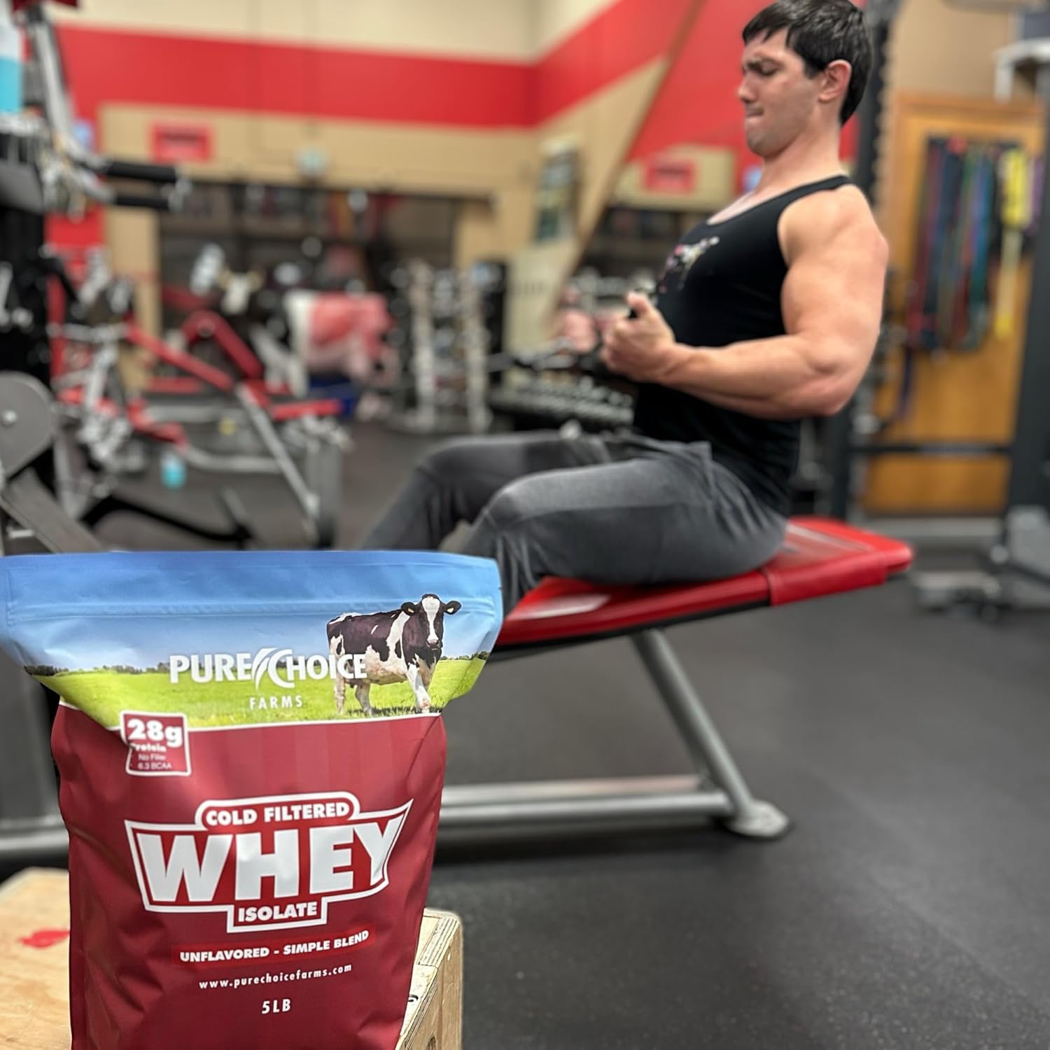 Unflavored Whey Protein Isolate Powder - 28g Protein, Sugar-Free, Undenatured, Pure Choice - 12 oz
