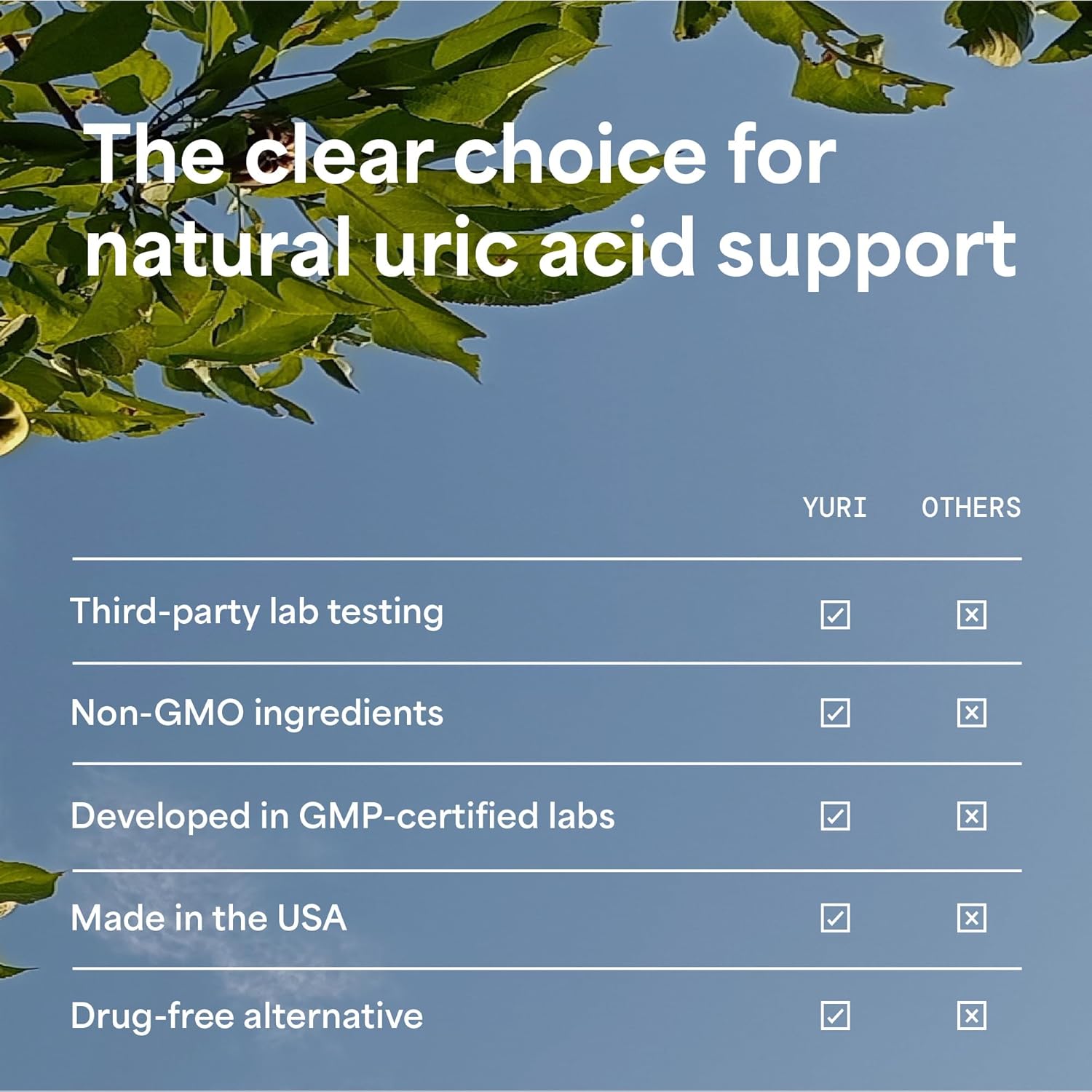 Uric Acid Cleanse Supplement with Celery Seed Extract, Chanca Piedra, and Tart Cherry - Kidney Detox and Uric Acid Flush