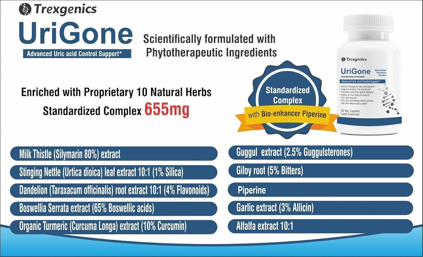 URIGONE Advanced Uric Acid Support Supplement - Natural Formula (60 Vegetarian Capsules)