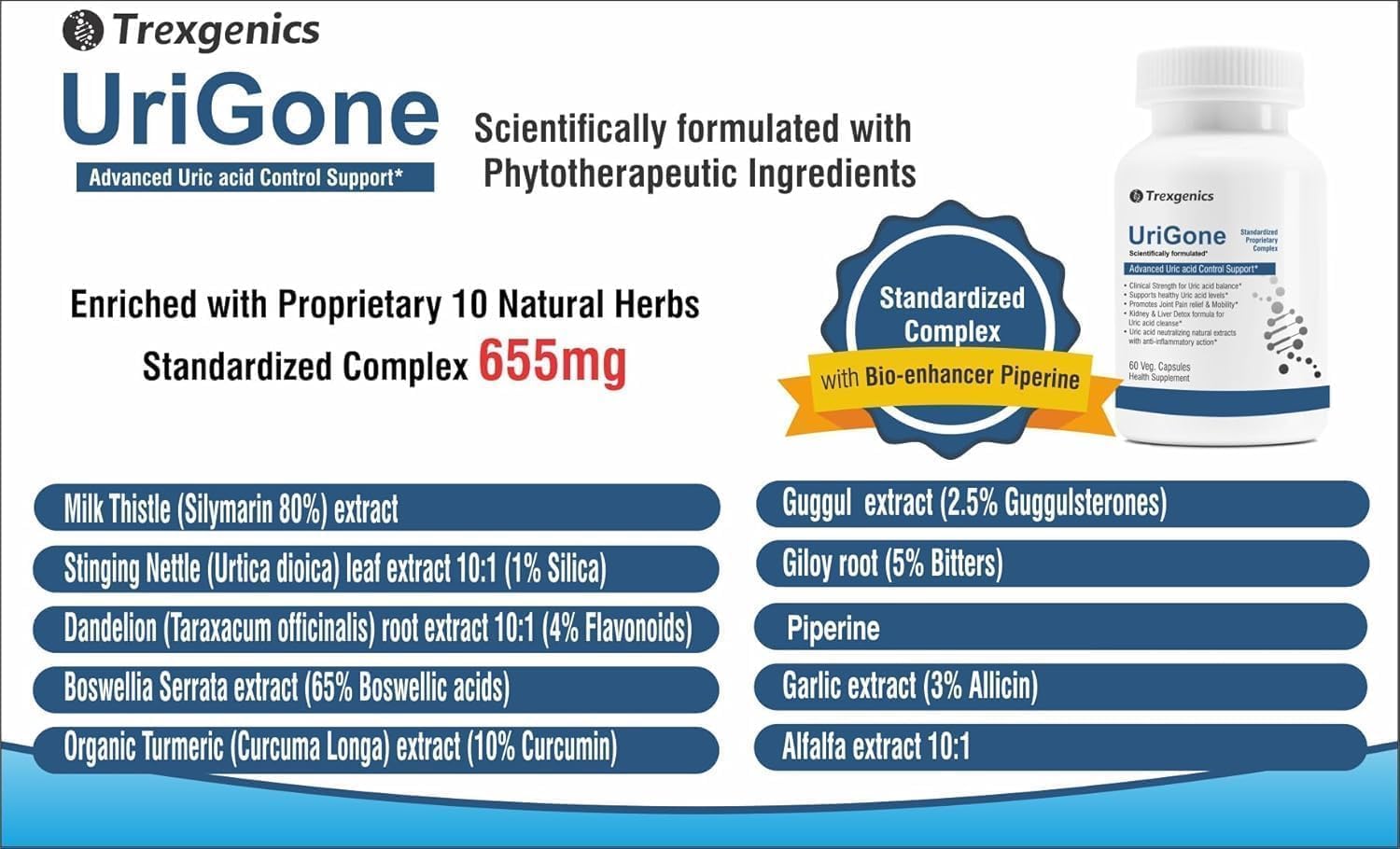 URIGONE Advanced Uric Acid Support Supplement - Natural Formula (60 Vegetarian Capsules)