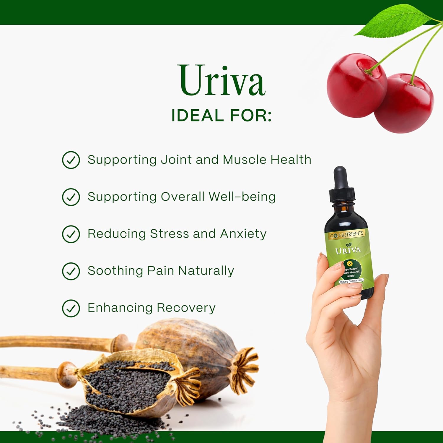 Uriva Advanced Uric Acid Flush Cleanse with Tart Cherry, Celery Seed, Turmeric - High Absorption Liquid Drops - Joints & Kidney Support - 2.0 oz.