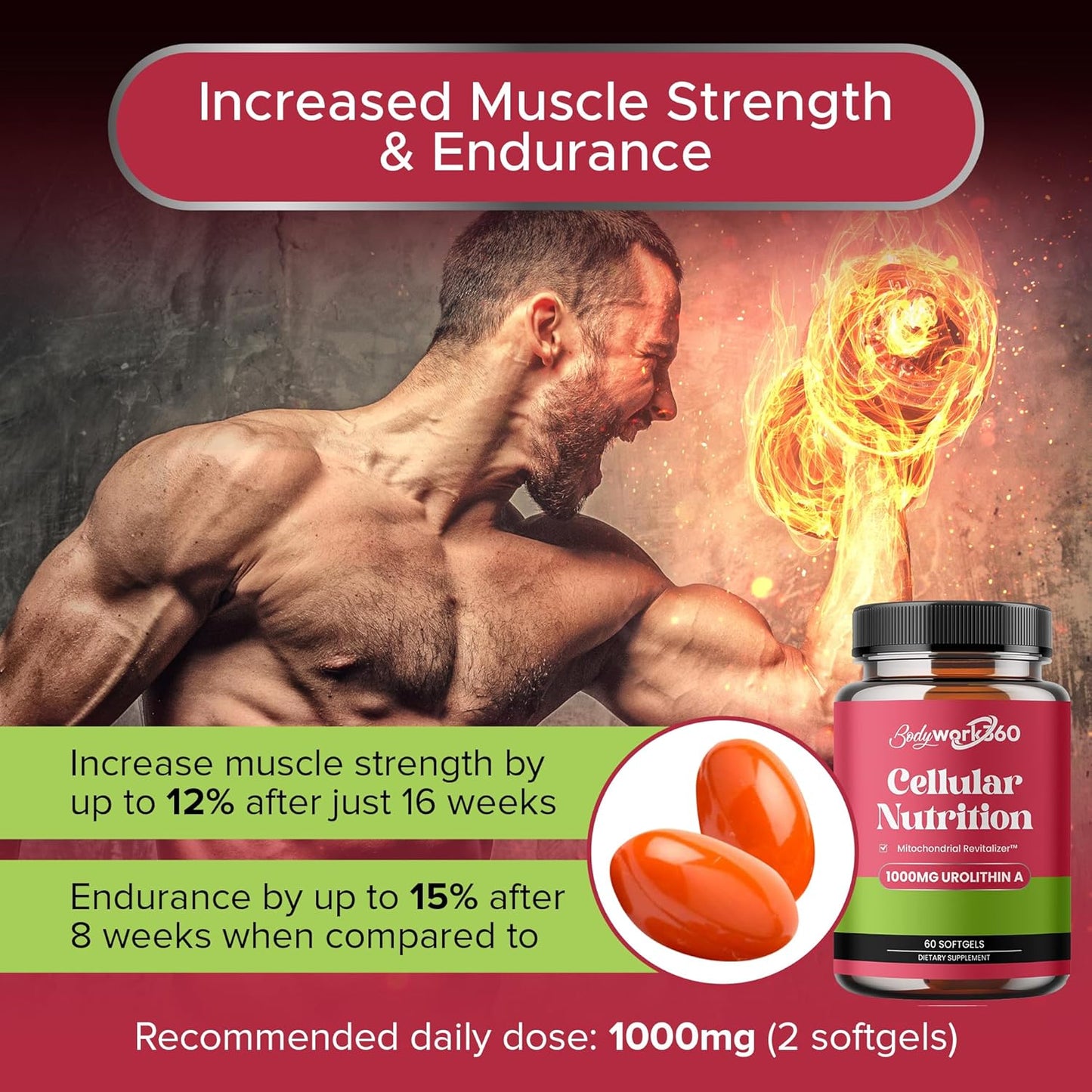 Urolithin A with Mitochondrial Revitalizer™ Softgels - Best Supplement for Healthy Aging, Muscle Repair, Metabolic Regulation - 60 Count
