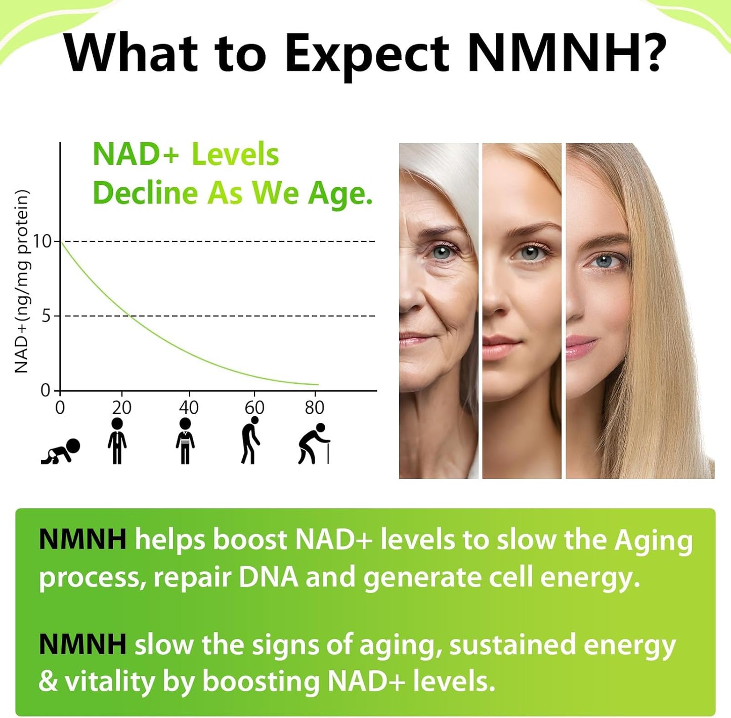 Ursinquil Sublingual NMNH 500mg NAD Supplement - 480 Capsules, 120 Servings, Boost NAD Levels for Anti-Aging, Energy, Immunity, Focus