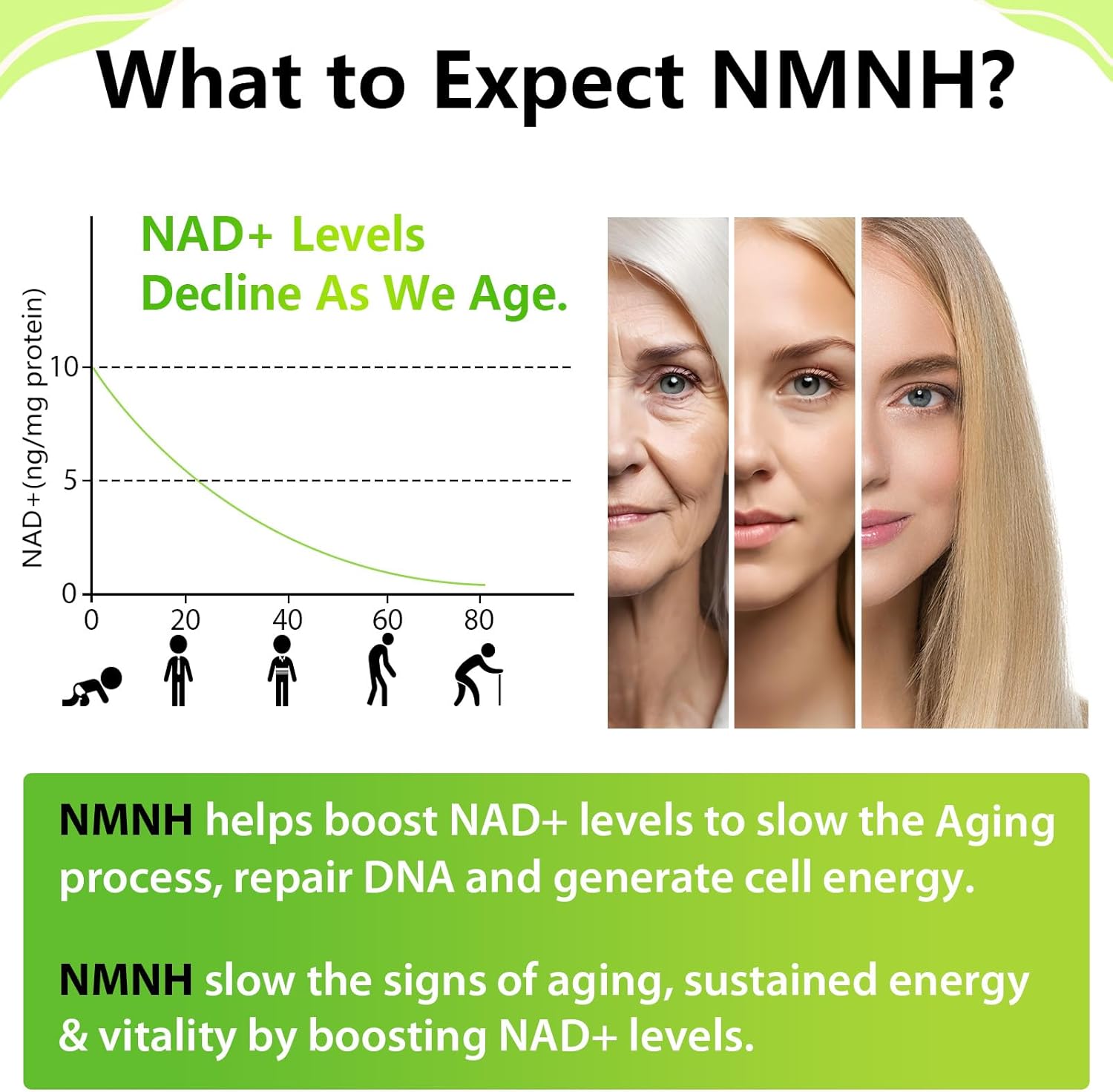 Ursinquil Sublingual NMNH 500mg NAD Supplement - 480 Capsules, 120 Servings, Boost NAD Levels for Anti-Aging, Energy, Immunity, Focus