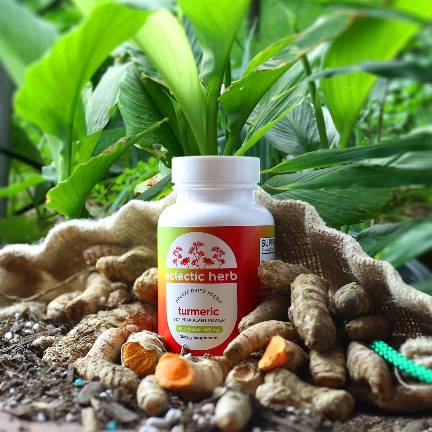 US-Grown Freeze-Dried Turmeric Capsules - 90 Count (395 mg) | Vegetarian, Non-GMO, Gluten-Free