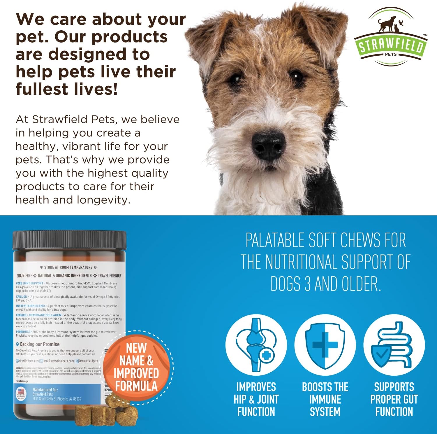 USA Made Dog Multivitamin Soft Chews with Glucosamine, Probiotics & Omega 3 | 120 Grain Free Treats for Dog Health & Wellness