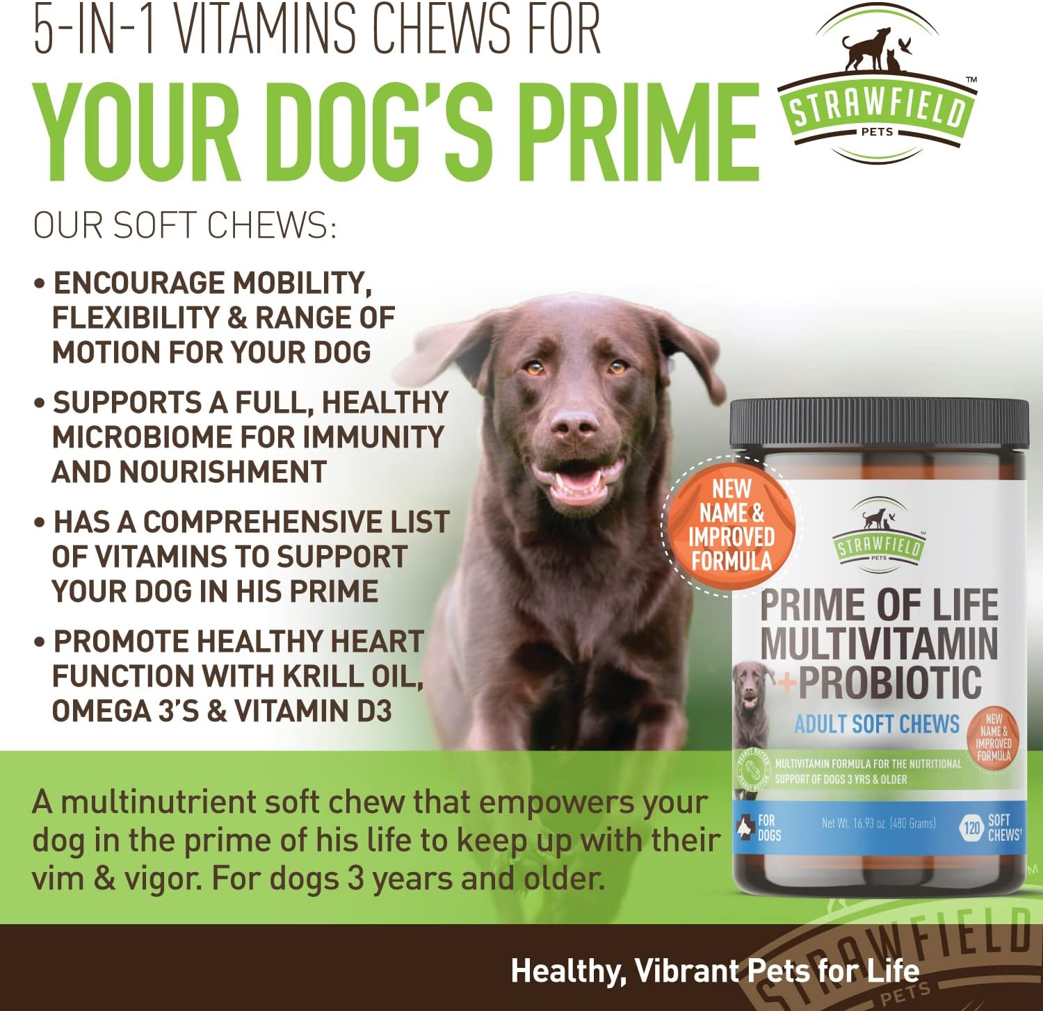 USA Made Dog Multivitamin Soft Chews with Glucosamine, Probiotics & Omega 3 | 120 Grain Free Treats for Dog Health & Wellness