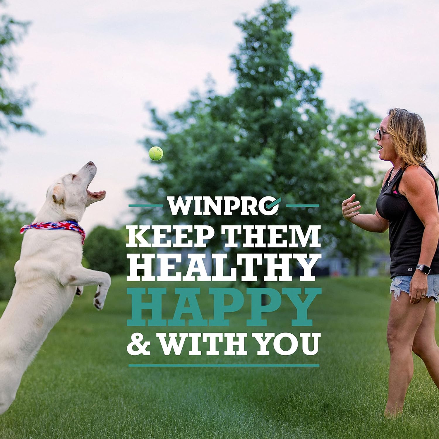 USA-Made Dog Probiotic Powder Meal Topper for Digestive Health, 60 Scoops, All Breeds & Sizes, Prebiotics & Probiotics