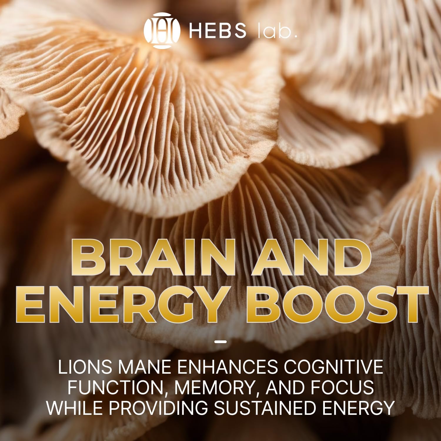 USA-Made Lions Mane Mushroom Extract Drops for Immune Defense & Memory Support - 4 Fl Oz