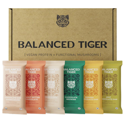 USA-Made Organic Vegan Protein Bars with Functional Mushrooms & Adaptogens - 6 Bar Sampler Pack