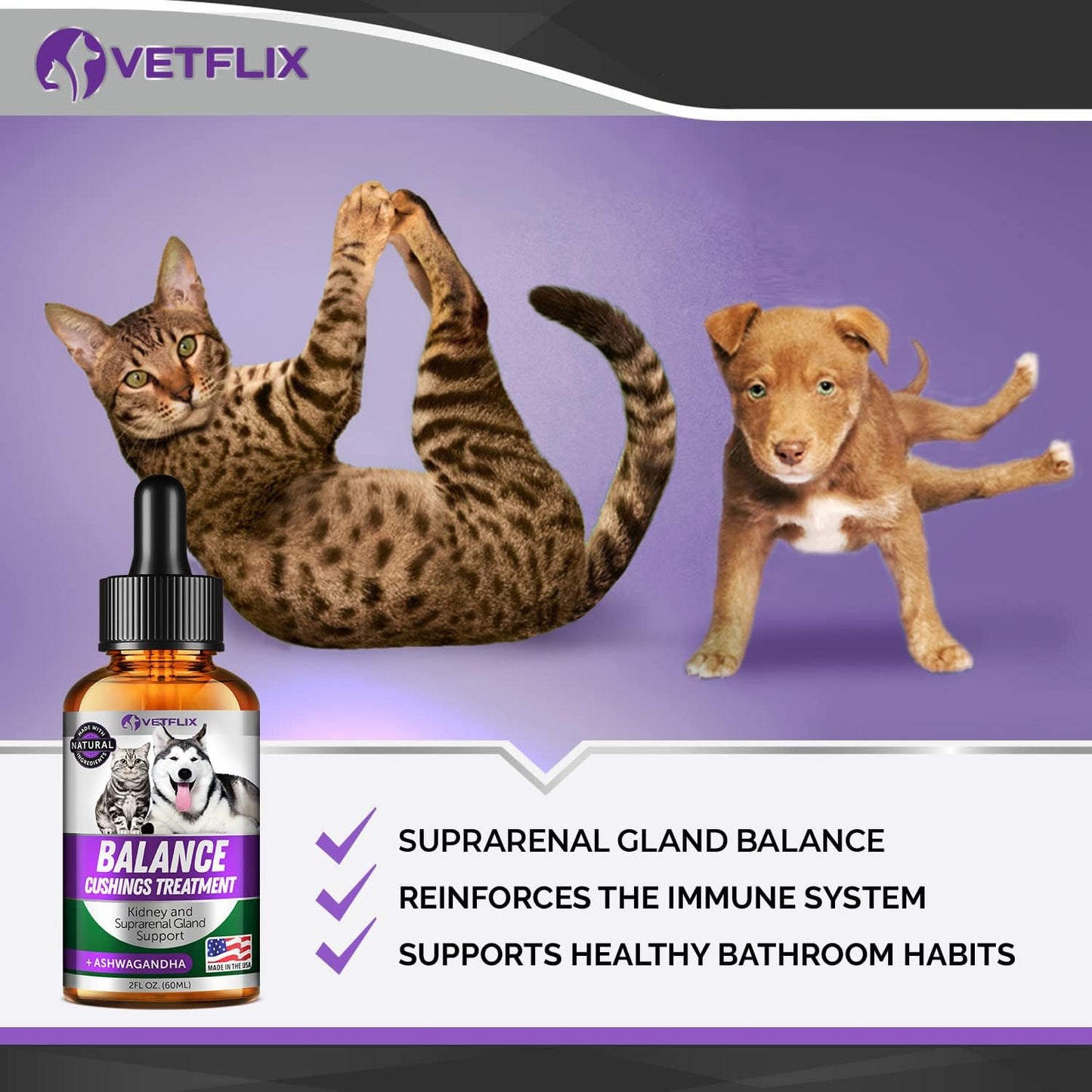 USA-Made Vetflix Pet Adrenal Support: Kidney & Cushings Treatment for Dogs & Cats